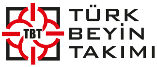 Türk Beyin Takımı